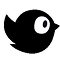 bird image